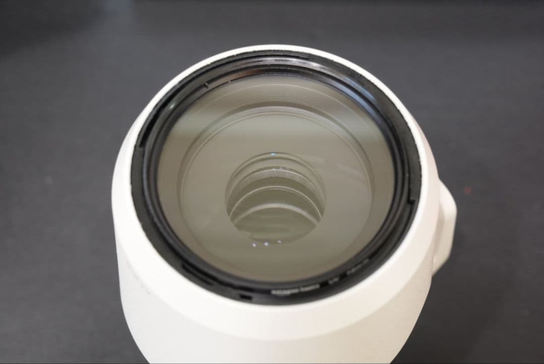 レンズ(ズーム) FE70-200F4MacroGOSSII SEL70200G2