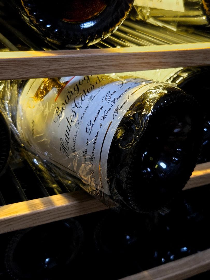 1995 ドメーヌ・グロ・フレール・エ　ブルゴーニュ・オート・コート・ド・ニュイ