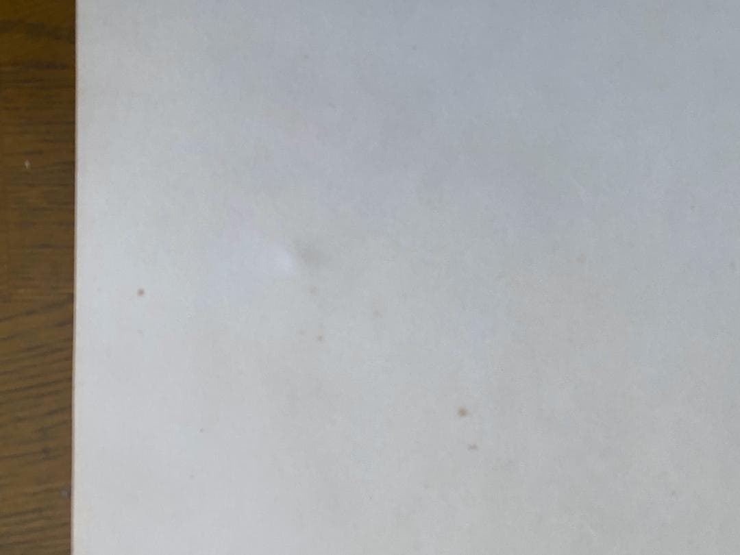 レ*オ様 横尾忠則　ポスター「AMAZON、アマゾン」 1989年