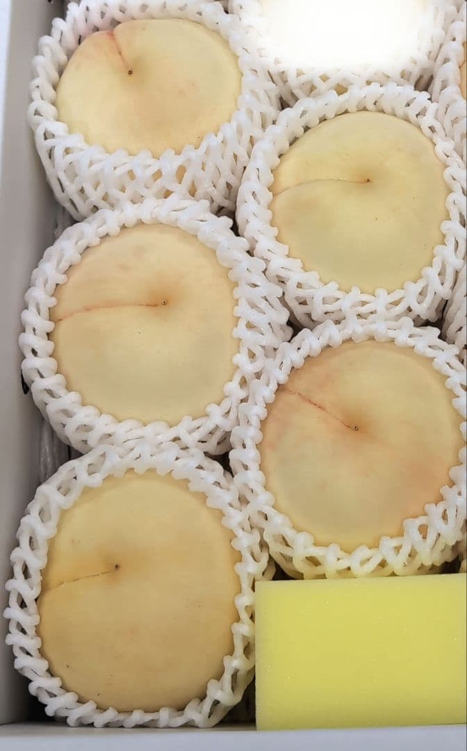 [Tony] 岡山県産瀬戸ジャイアンツ 1房、晴桃がたり5個入り