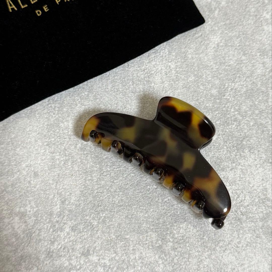 ALEXANDRE DE PARIS Sクリップ