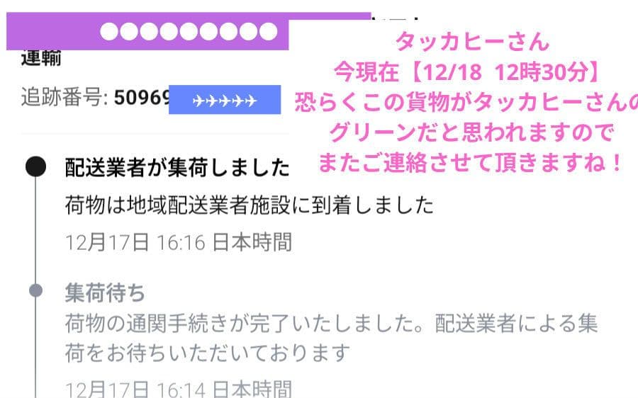 クリスマス値下げ中／a380／フライングホヌ グリーン