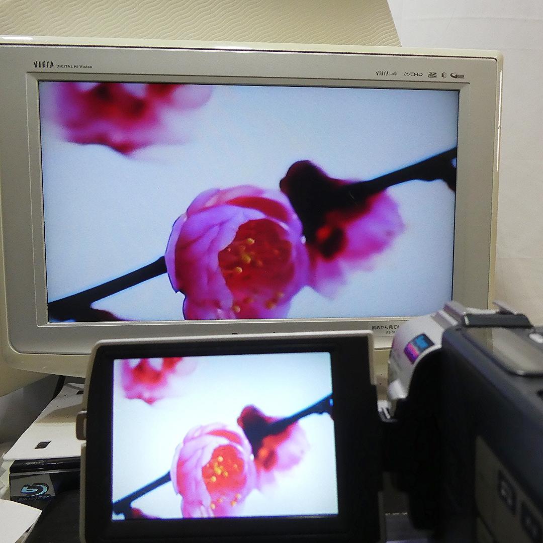 動作品ソニー DCR-TRV17 MiniDVビデオカメラ　DVDダビングに最適