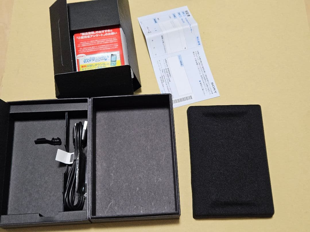 【付属品付き】NW-ZX2 128GB