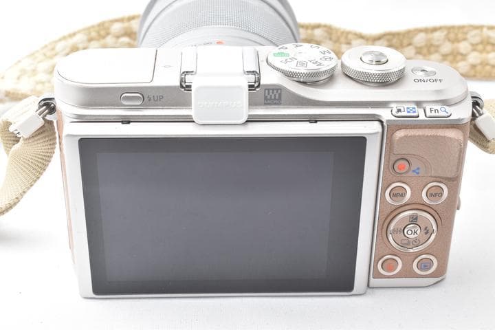 オリンパス OLYMPUS PEN E-PL9 ブラウン 望遠レンズ付き