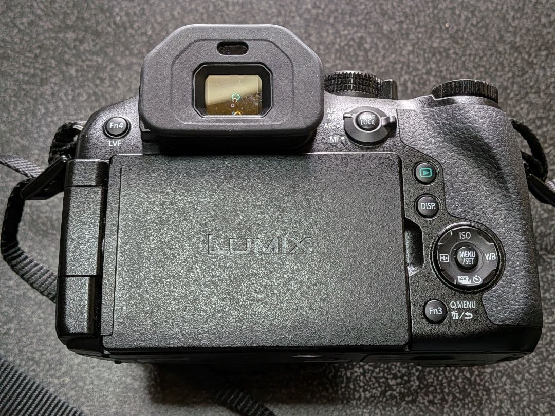 Panasonic LUMIX FZ300 + 128GBSDカード付き