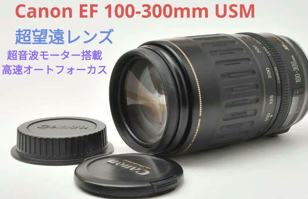 8月5日限定価格♪Canon EF 100-300mm USM