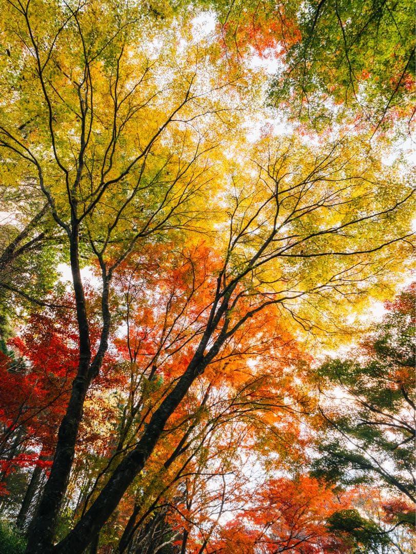 VILTROX AF 20mm F2.8 フィルター付き　単焦点