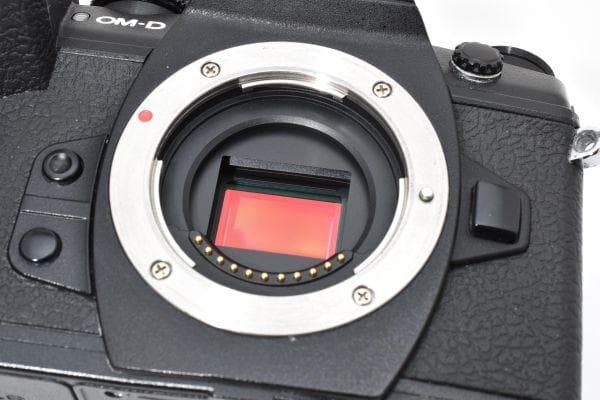★美品★ オリンパス OM-D E-M1 Markii ボディ #798