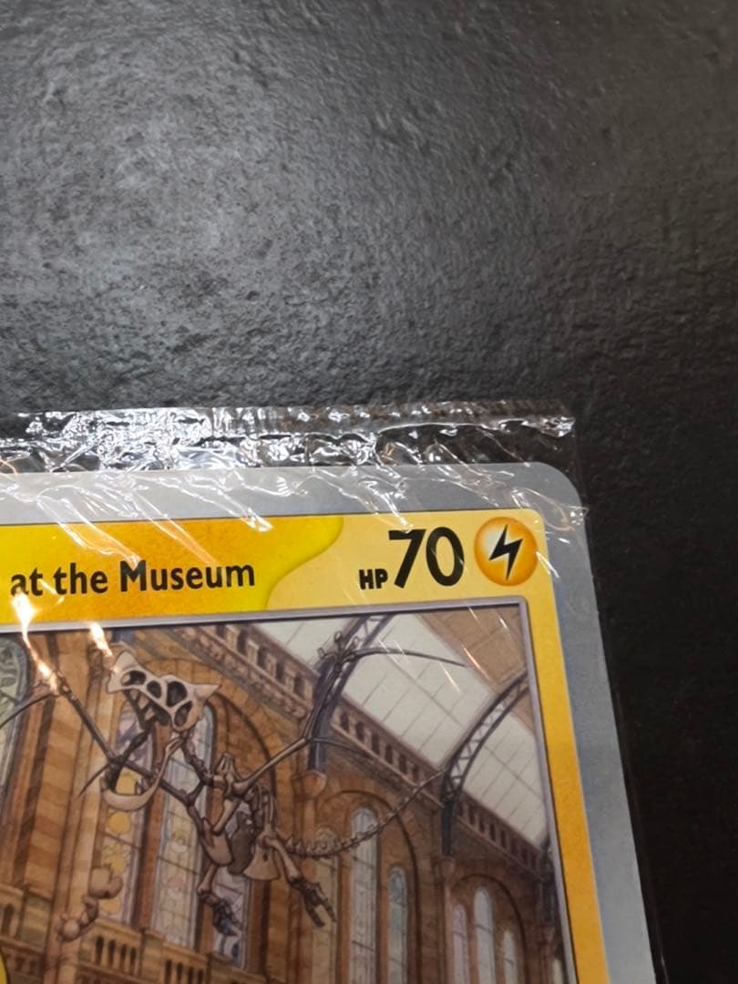 未開封 Pikachu at the Museum ピカチュウ 博物館 プロモ