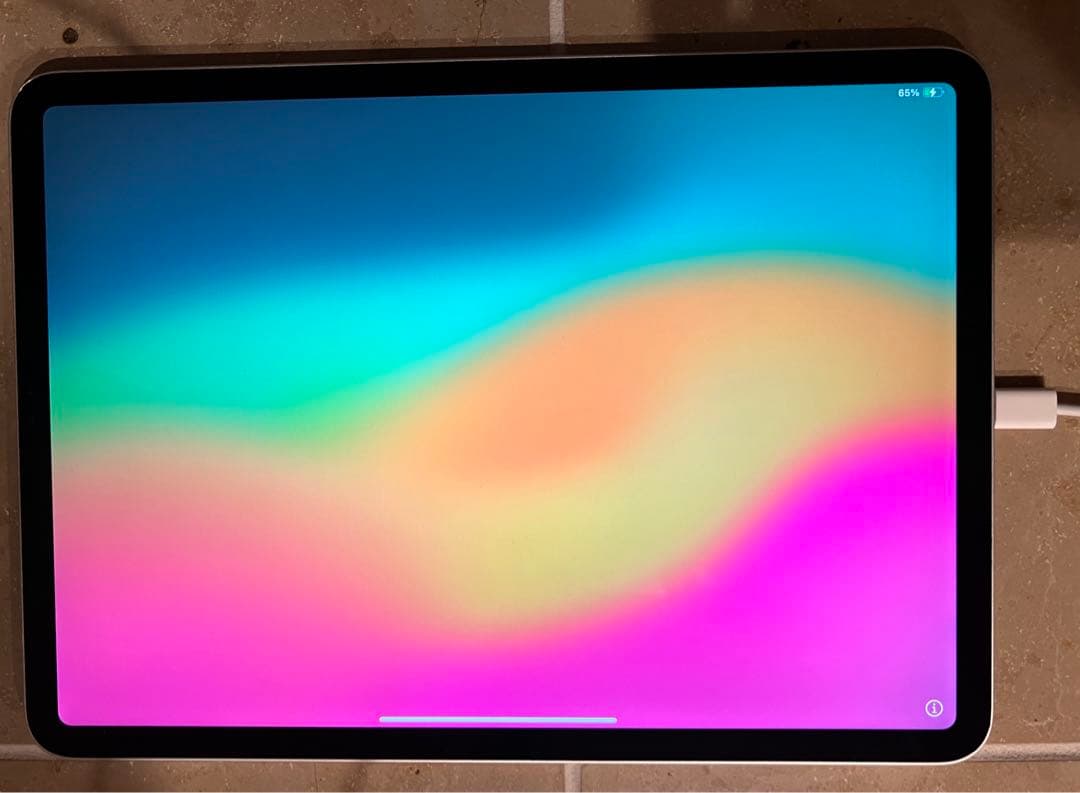 【ジャンク品】iPad Pro 11インチ(第1世代) 512GB ※最終価格