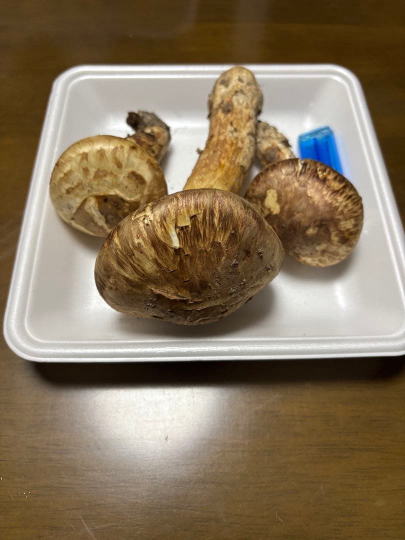 香川県産　獲れたて松茸2 3本194グラム　国産　天然物