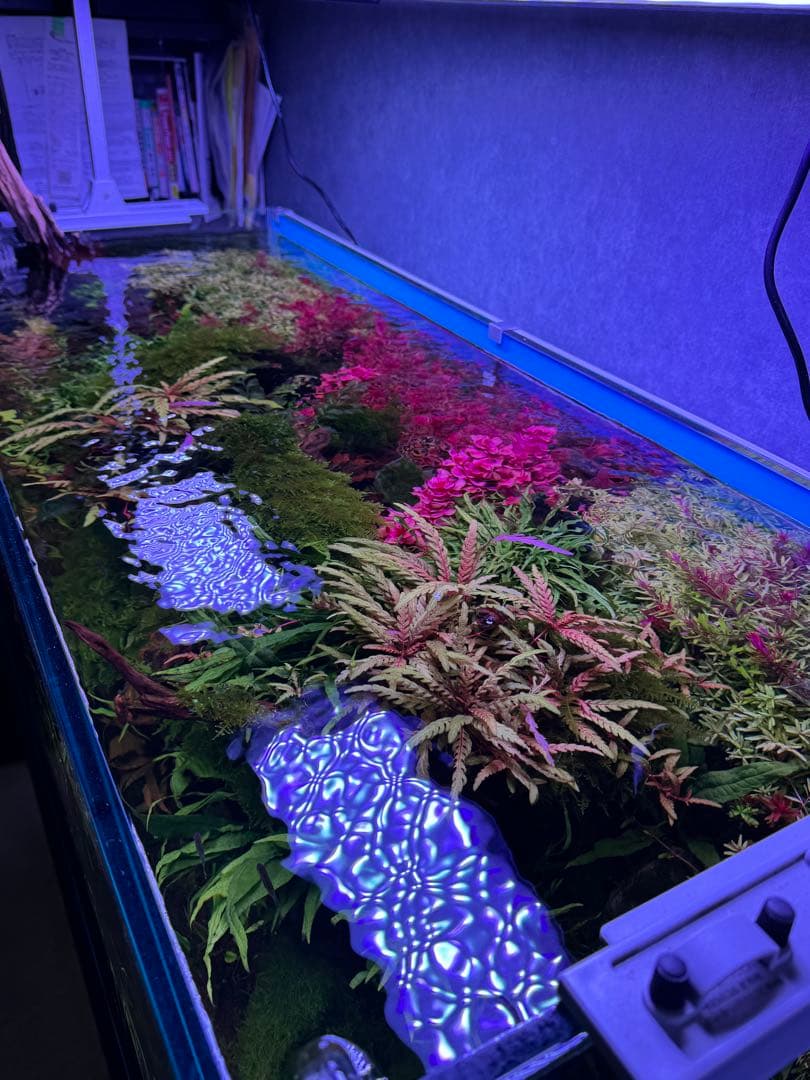 WEEK AQUA A430 TH RGB ブラック