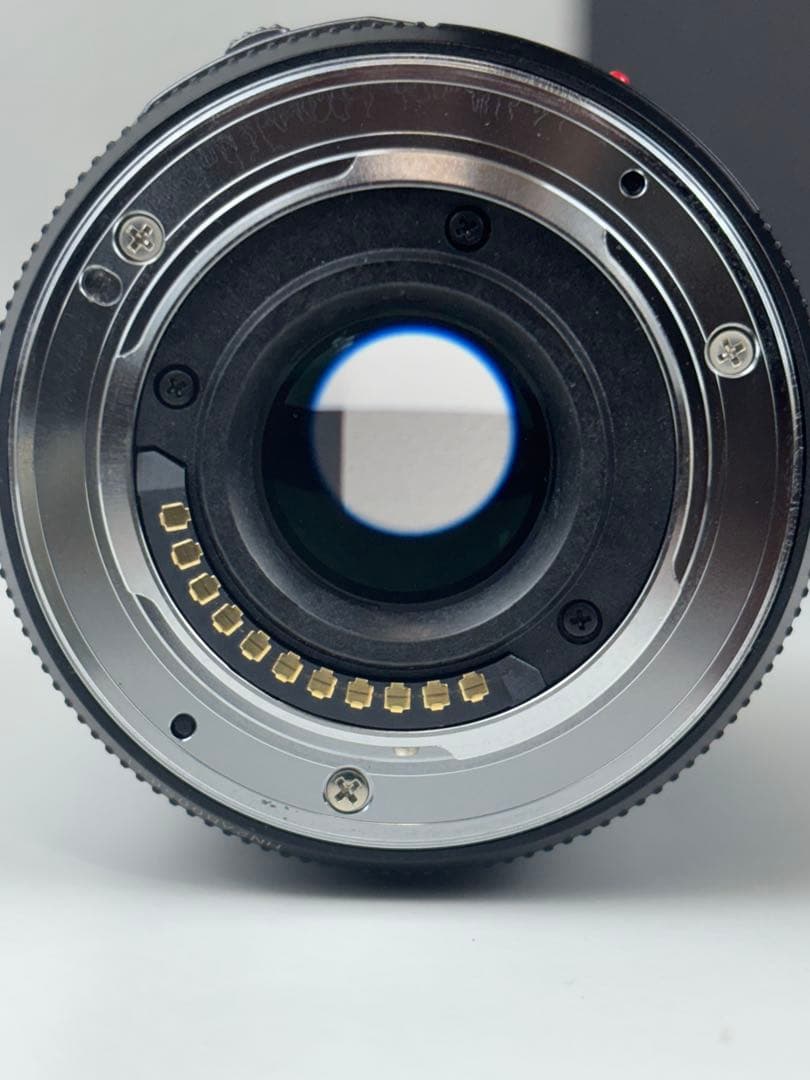 【美品】Panasonic H-PS45175 45-175 レンズ