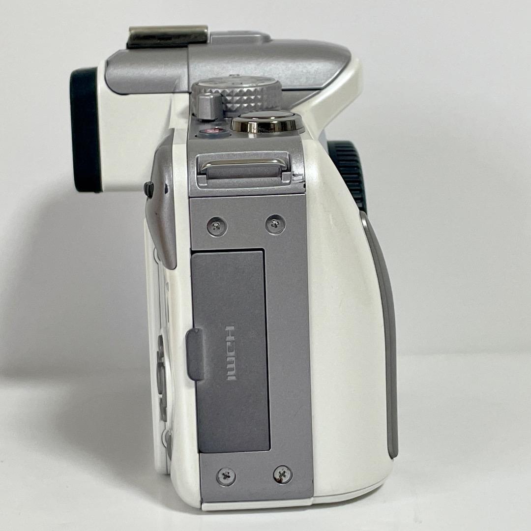 ⭐️セール中！⭐️Panasonic LUMIX DMC-G3W ボディ