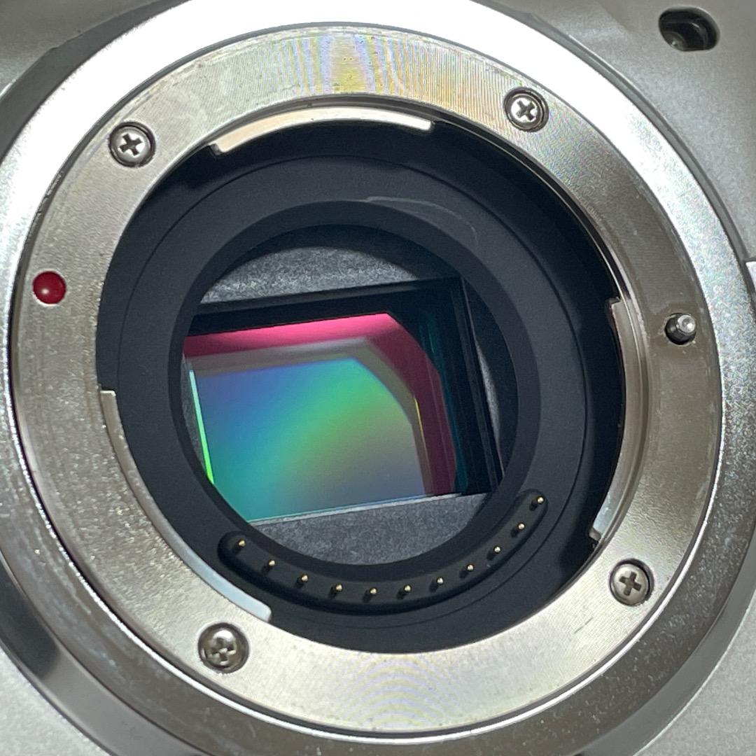 ⭐️セール中！⭐️Panasonic LUMIX DMC-G3W ボディ