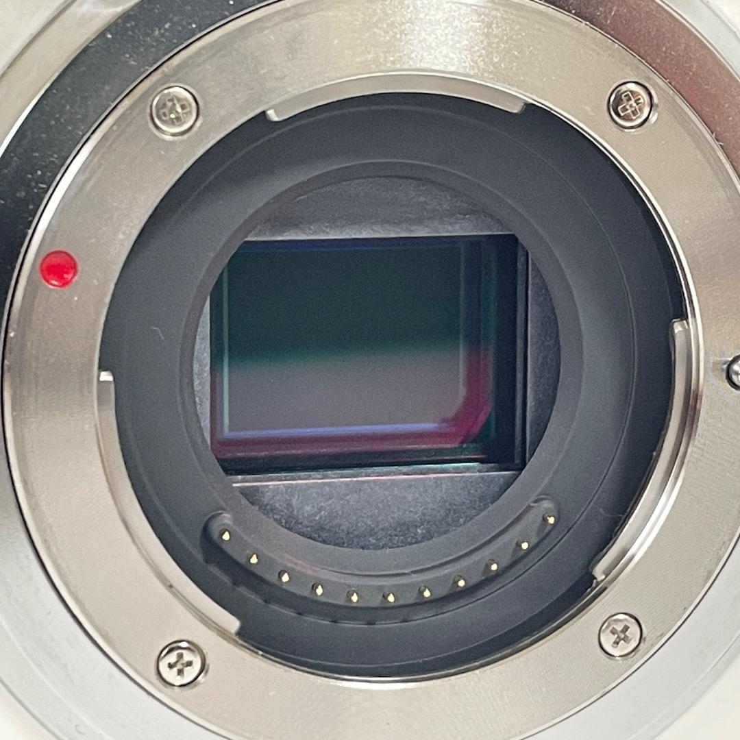 ⭐️セール中！⭐️Panasonic LUMIX DMC-G3W ボディ