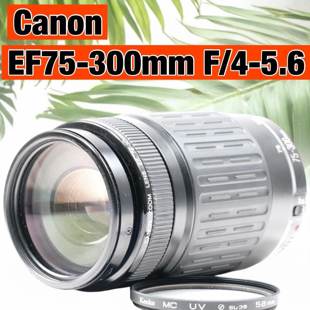 美品✨Canon EF 75-300mm F4-5.6