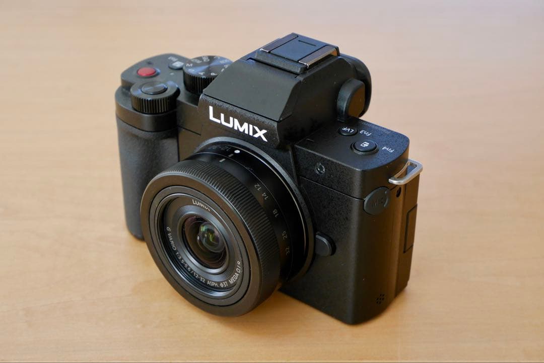 Panasonic LUMIX DC-G100D 美品　ミラーレス一眼