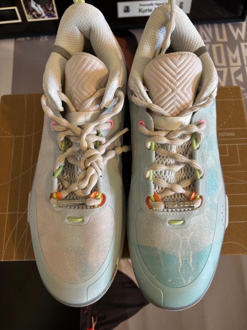 シューズ(男性用) Wade Shadow 6 US9