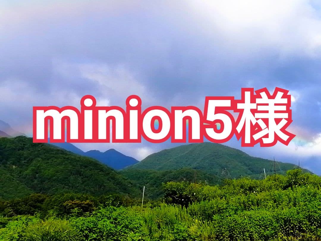 minion5様　御注文のお品物　彩り葡萄　6品種　4kg箱