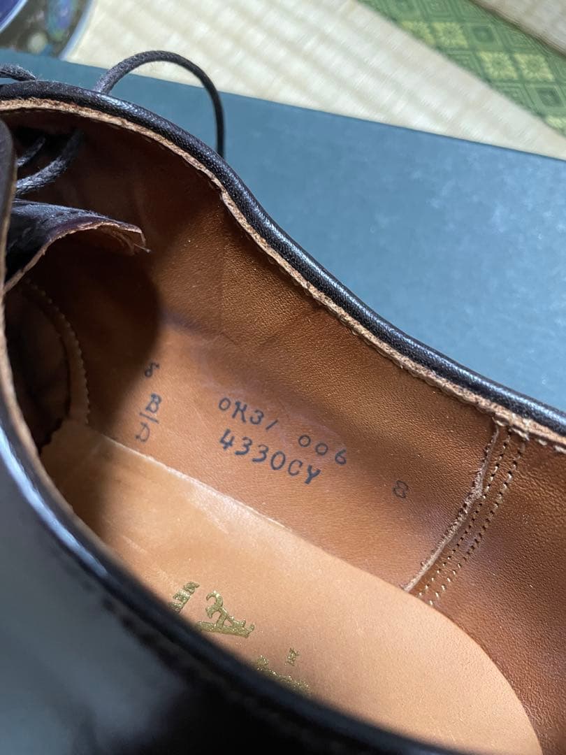 レア品　Alden 4330 CY 8D