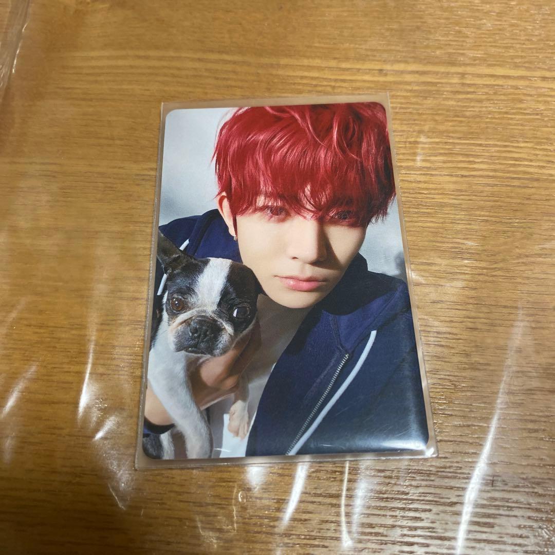 ENHYPEN ヒスン アンケート トレカ 2025