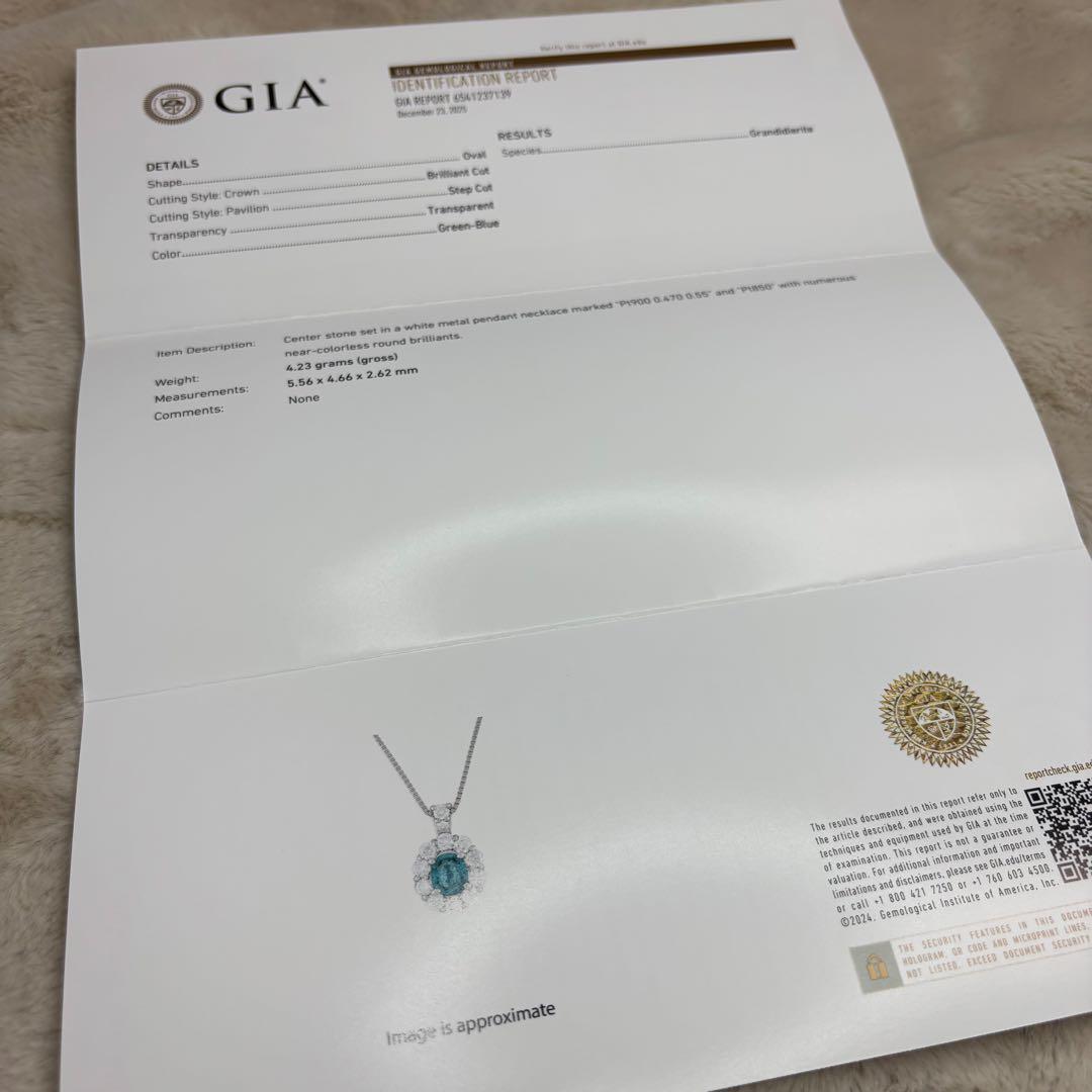 天然グランディディエライト ダイヤモンド ネックレス 計1.02ct GIA