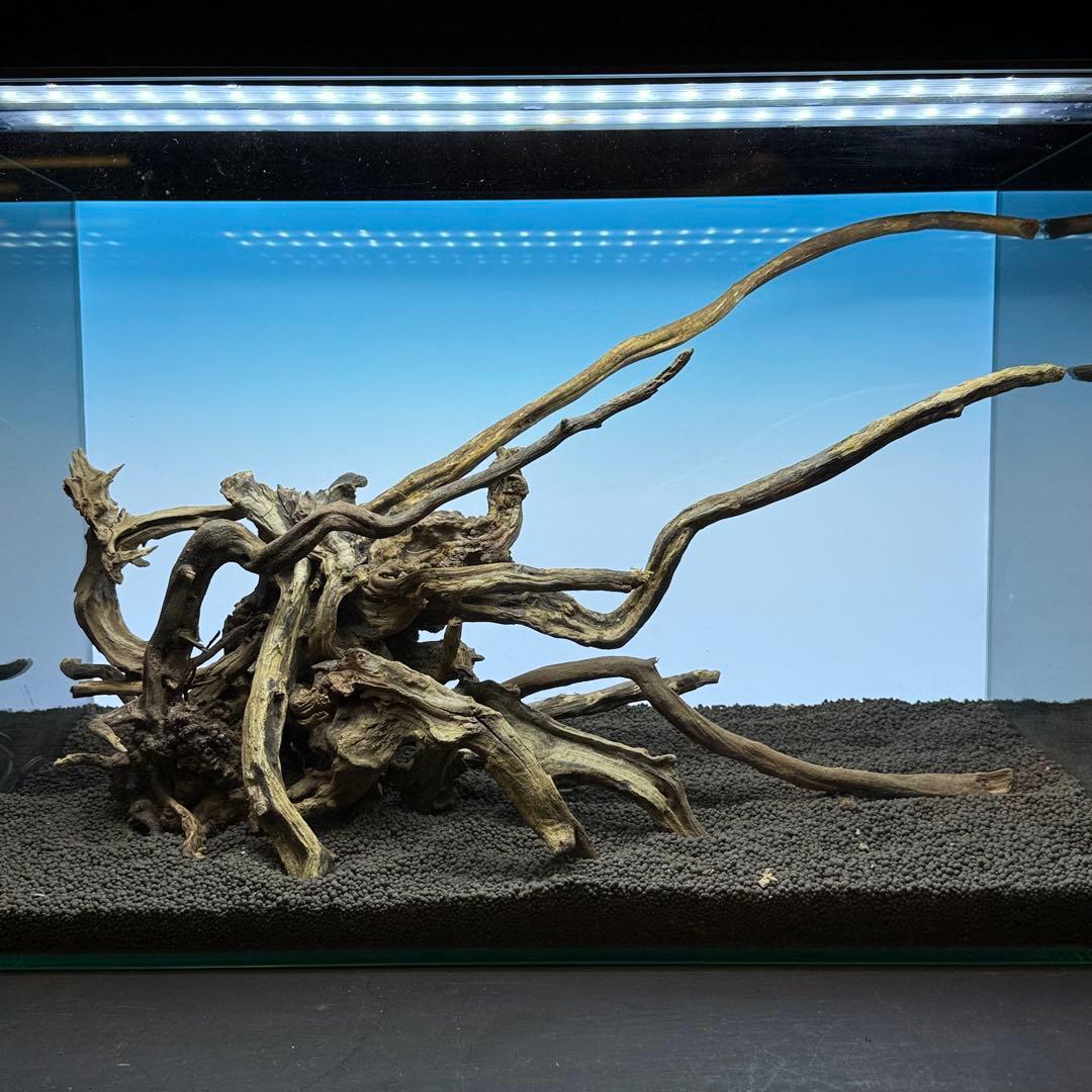 MSRW-7175スリムウッドレイアウトセット　60cm水槽用流木　アクアリウム