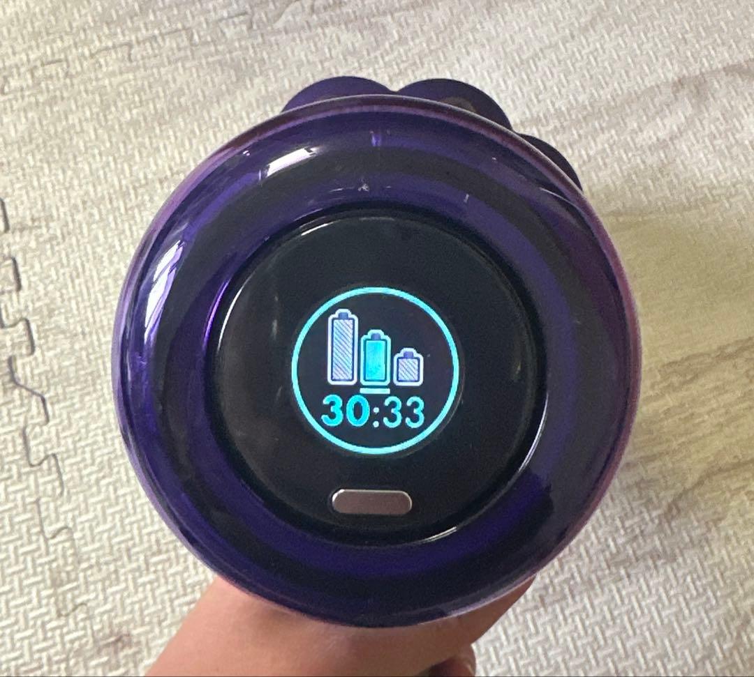 掃除機・クリーナー Digital Slim Fluffy Optic SV18 FF PL PU