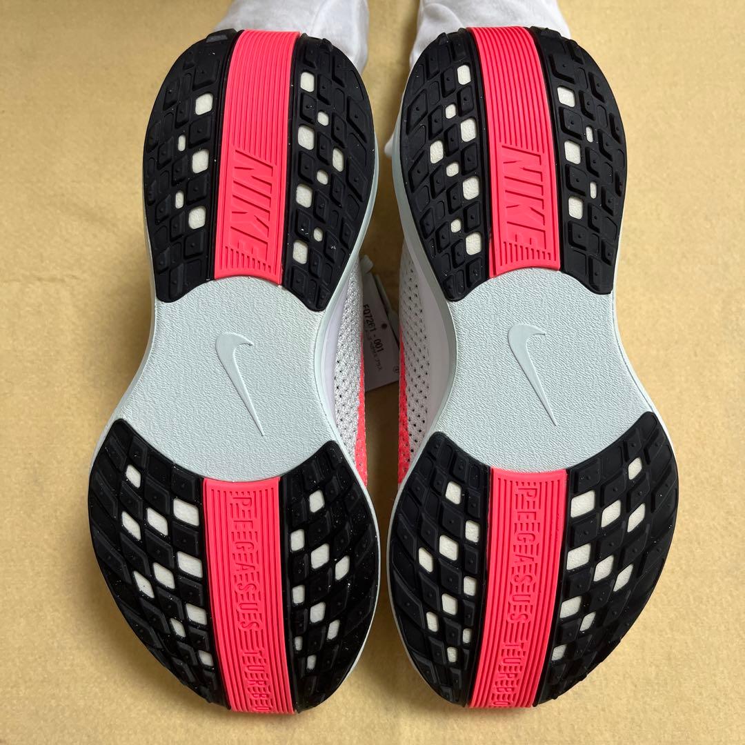 ペガサスプラス