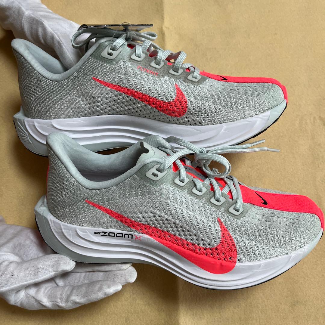 ペガサスプラス