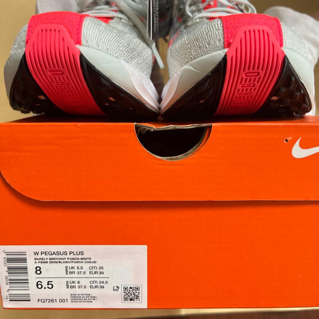 ペガサスプラス