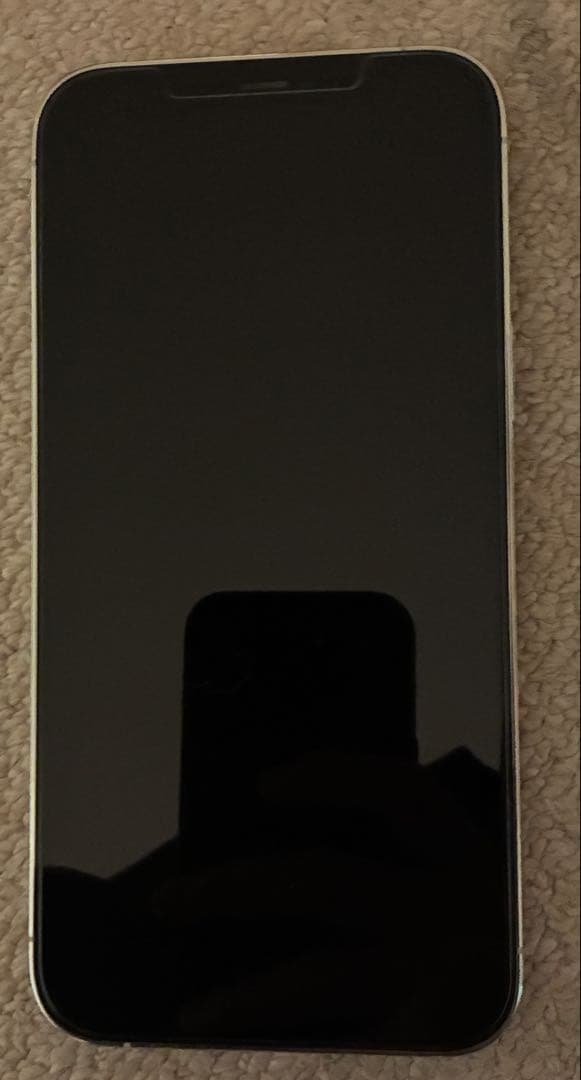 Apple iPhone 12 Pro Max Simフリー