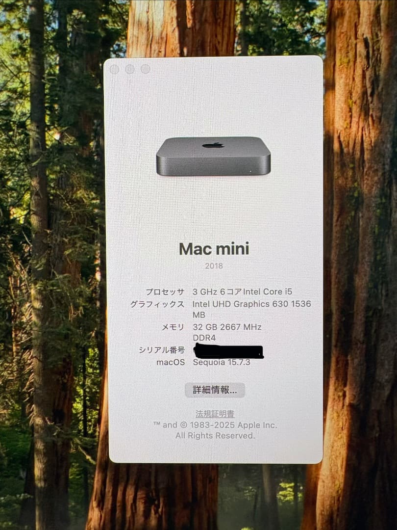 ミニPC Apple Mac mini 2018 32GB 500GB