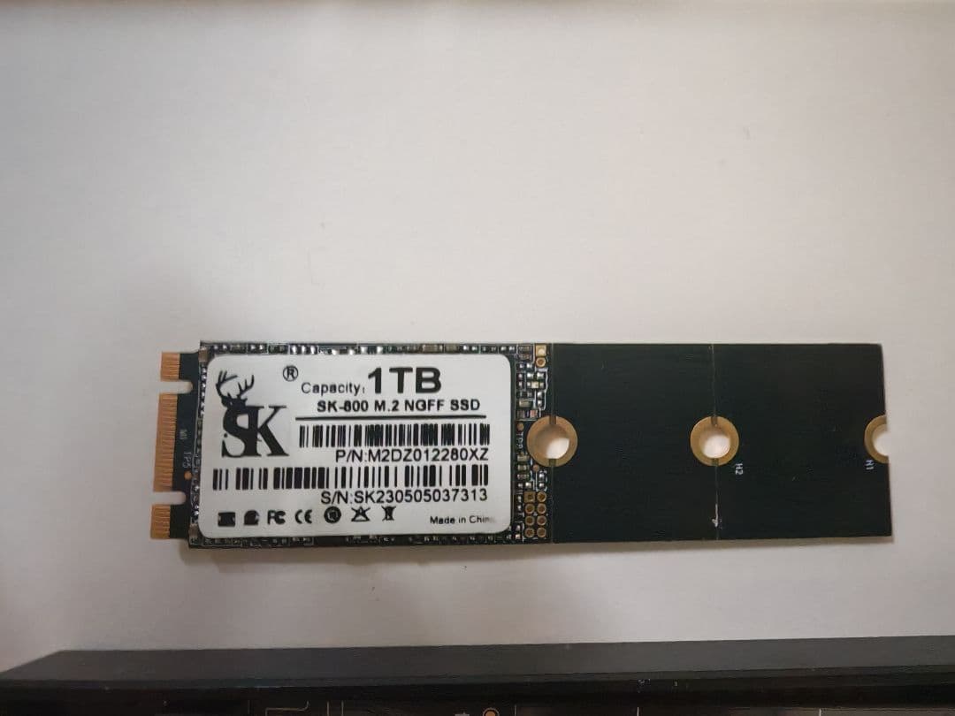 SK-800 M.2 NGFF SSD 1TB 外付けケース付き