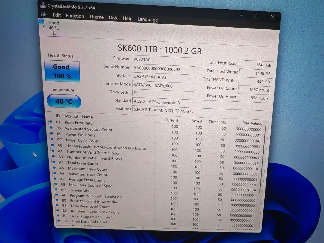 SK-800 M.2 NGFF SSD 1TB 外付けケース付き