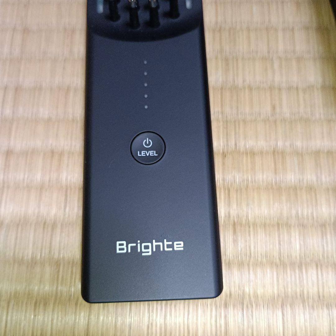Brighte ELEKI BRUSH ブライト エレキブラシ 美顔器