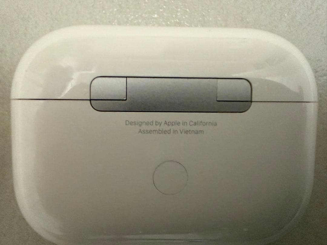 AirPods Pro 第一世代 本体 充電ケース付き 純正イヤーチップ付き