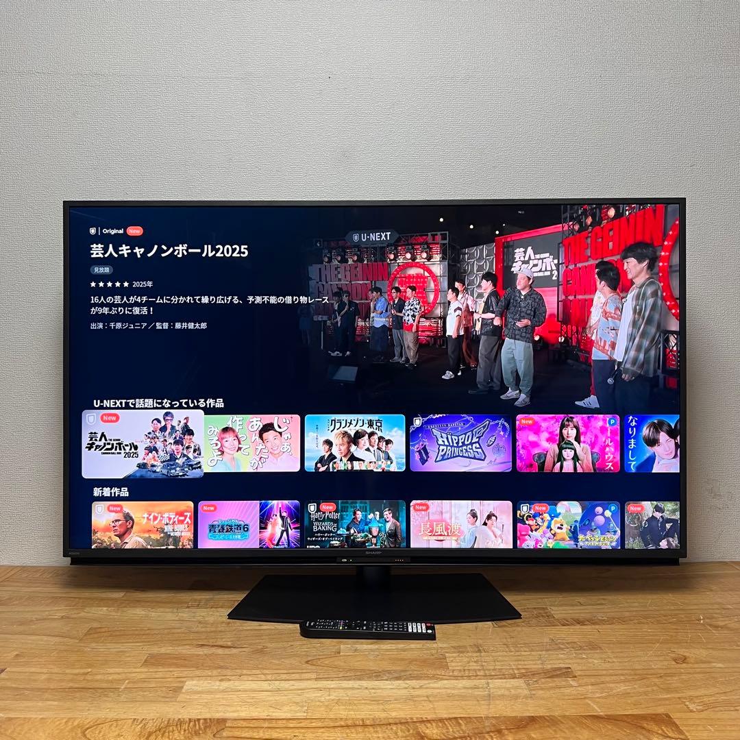 シャープ 55V型 4K液晶テレビ AQUOS 4T-C55EN1 動画アプリ○