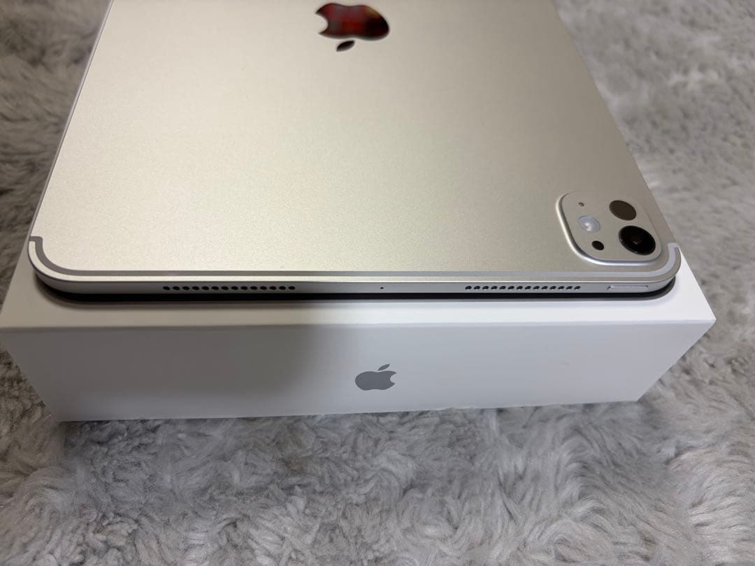 M4 iPad Pro 11インチ WiFi版 シルバー 256GB