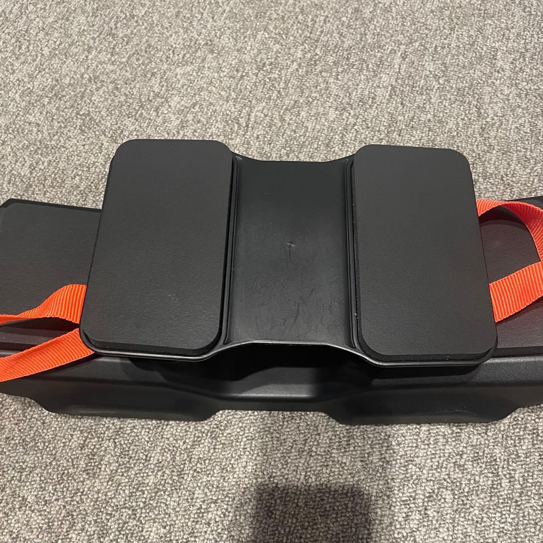 ReaLine リアラインコア 保証書付き