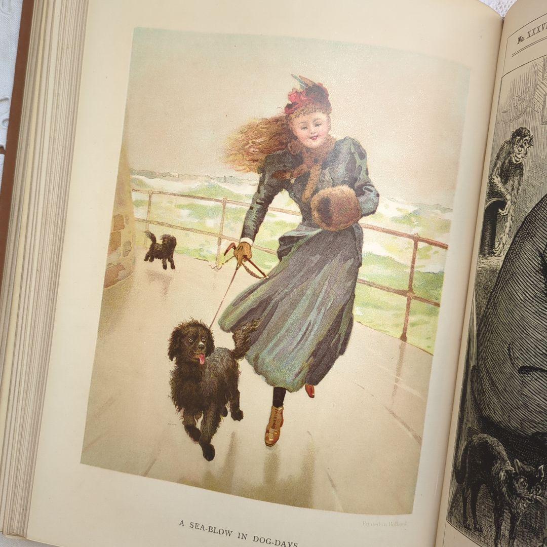稀少1897アンティーク絵本 洋書 児童書 ヴィクトリアン ヴンテージ