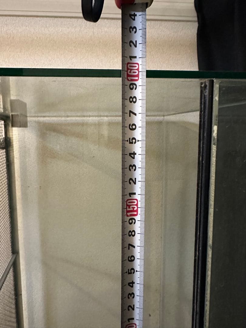 引き取り限定 幅1600 奥行500 高さ450 ガラスケージ