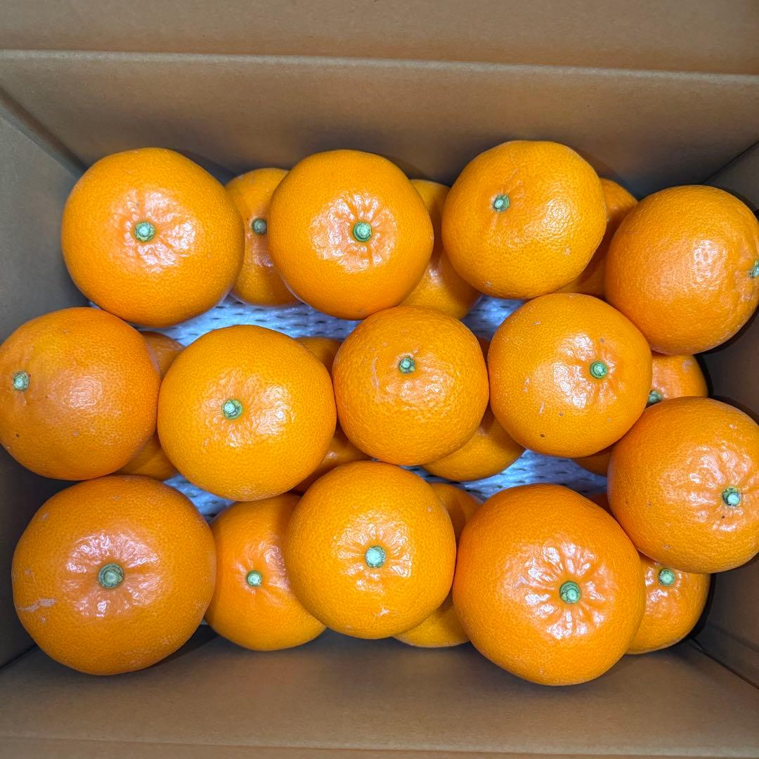 せとか(5kg)x2・特選M-3L玉