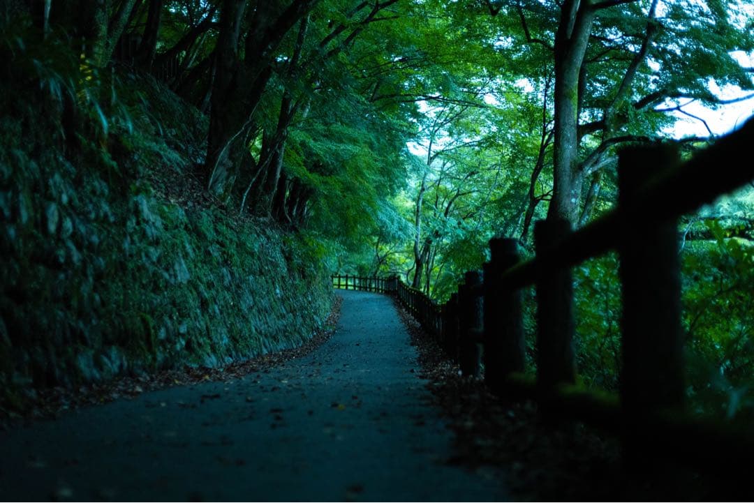 24-105mm F4 DG OS HSM CANON用