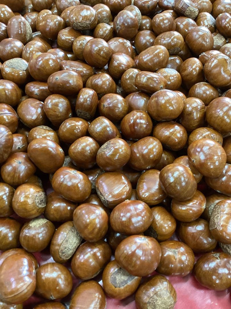 【りんりんko】　ビックサイズ‼️焼きたて‼️天津甘栗5キロ入り