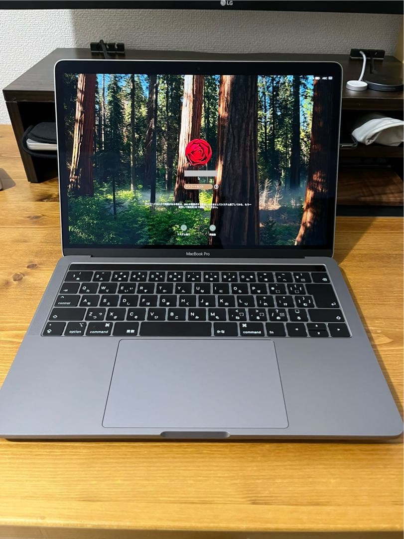 MacBook本体 MacBook Pro (13-inch, 2019)