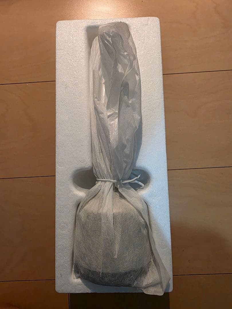 【美品】SONY LSPX-S2 グラスサウンドスピーカー ソニー