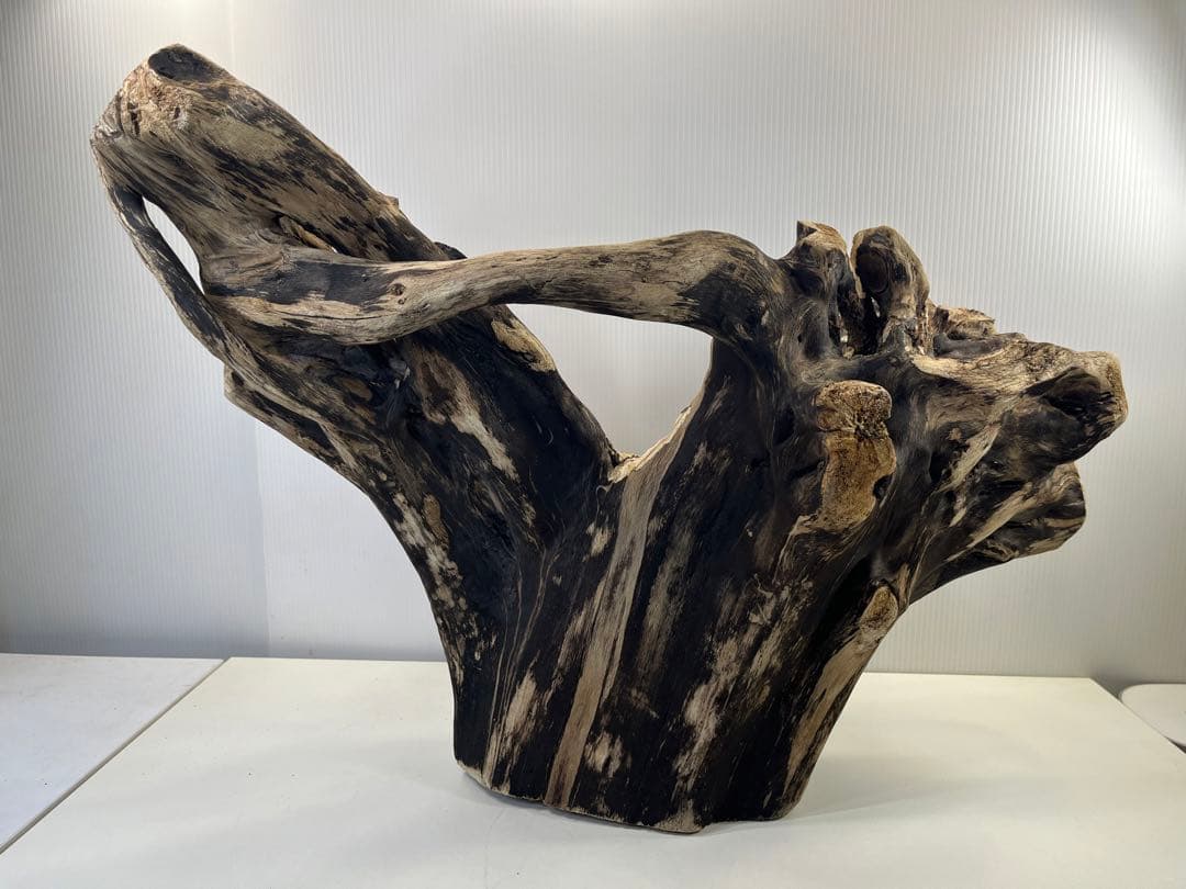 k90特大流木 アク抜き済み 爬虫類シェルター レイアウト用 登り木 インテリア